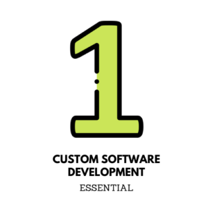 Custom Software Development-Essential