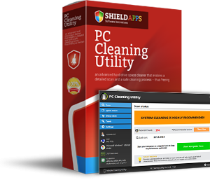 SAp PC Cleaning Utility